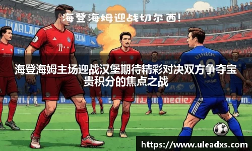 海登海姆主场迎战汉堡期待精彩对决双方争夺宝贵积分的焦点之战