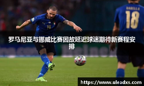 罗马尼亚与挪威比赛因故延迟球迷期待新赛程安排