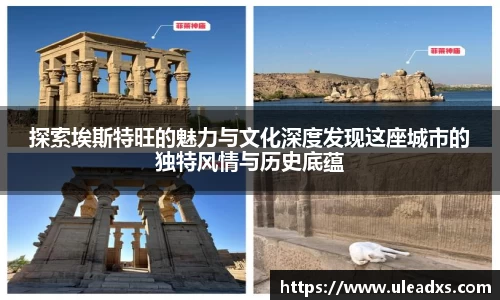 电竞牛官网