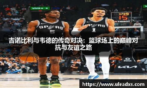 吉诺比利与韦德的传奇对决：篮球场上的巅峰对抗与友谊之路
